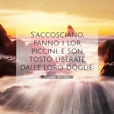 Picture 07 - Giobbe 39:3 RIV - S’accosciano, fanno i lor piccini, e son tosto - Bible Verse Picture
