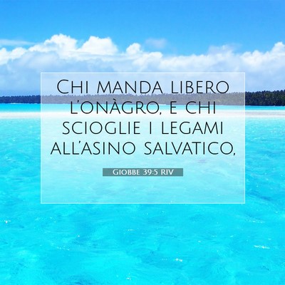 Picture 07 - Giobbe 39:5 RIV - Chi manda libero l’onàgro, e chi scioglie i - Bible Verse Picture