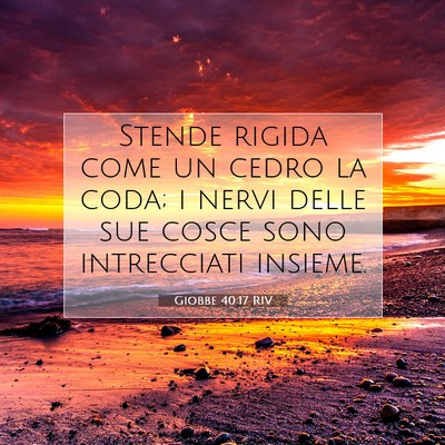 Picture 07 - Giobbe 40:17 RIV - Stende rigida come un cedro la coda; i nervi - Bible Verse Picture