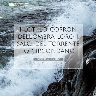 Picture 07 - Giobbe 40:22 RIV - I loti lo copron dell’ombra loro, i salci del - Bible Verse Picture