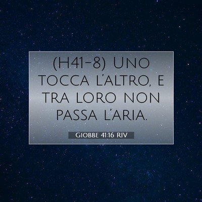Picture 07 - Giobbe 41:16 RIV - (H41-8) Uno tocca l’altro, e tra loro non passa - Bible Verse Picture