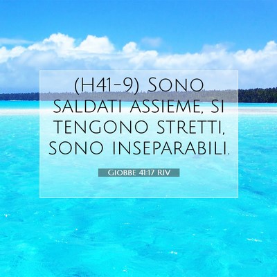 Picture 07 - Giobbe 41:17 RIV - (H41-9) Sono saldati assieme, si tengono stretti, - Bible Verse Picture