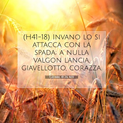 Picture 07 - Giobbe 41:26 RIV - (H41-18) Invano lo si attacca con la spada; a - Bible Verse Picture