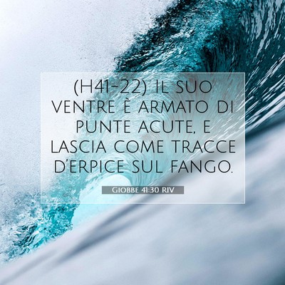 Picture 07 - Giobbe 41:30 RIV - (H41-22) Il suo ventre è armato di punte acute, - Bible Verse Picture