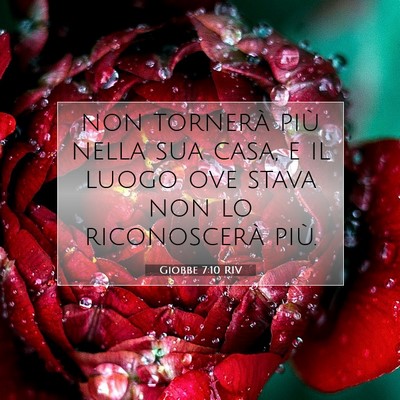 Picture 07 - Giobbe 7:10 RIV - non tornerà più nella sua casa, e il luogo ove - Bible Verse Picture