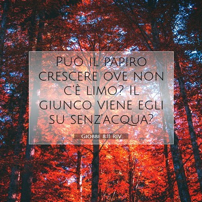 Picture 07 - Giobbe 8:11 RIV - Può il papiro crescere ove non c’è limo? Il - Bible Verse Picture