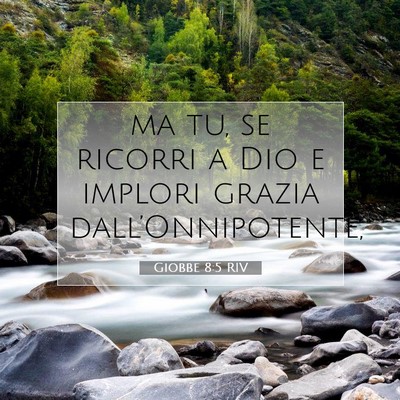 Picture 07 - Giobbe 8:5 RIV - ma tu, se ricorri a Dio e implori grazia - Bible Verse Picture
