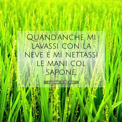 Picture 07 - Giobbe 9:30 RIV - Quand’anche mi lavassi con la neve e mi - Bible Verse Picture