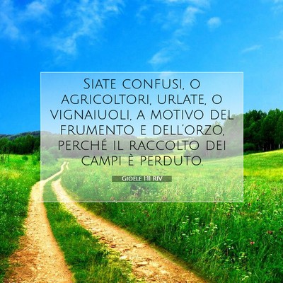 Picture 07 - Gioele 1:11 RIV - Siate confusi, o agricoltori, urlate, o - Bible Verse Picture