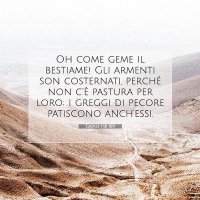 Picture 07 - Gioele 1:18 RIV - Oh come geme il bestiame! Gli armenti son - Bible Verse Picture
