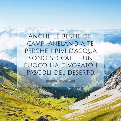 Picture 07 - Gioele 1:20 RIV - Anche le bestie dei campi anelano a te, perché i - Bible Verse Picture