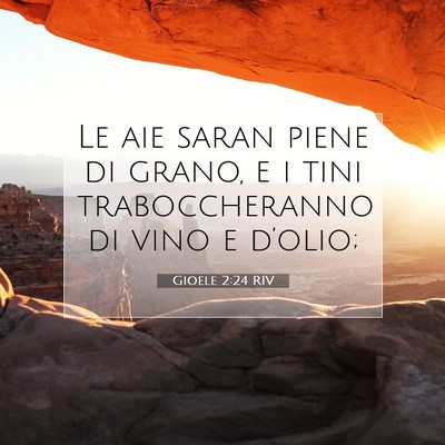 Picture 07 - Gioele 2:24 RIV - Le aie saran piene di grano, e i tini - Bible Verse Picture