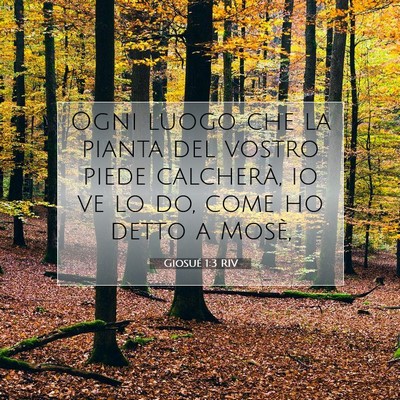 Picture 07 - Giosué 1:3 RIV - Ogni luogo che la pianta del vostro piede - Bible Verse Picture