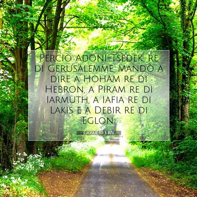 Picture 07 - Giosué 10:3 RIV - Perciò Adoni-Tsedek, re di Gerusalemme, mandò a - Bible Verse Picture