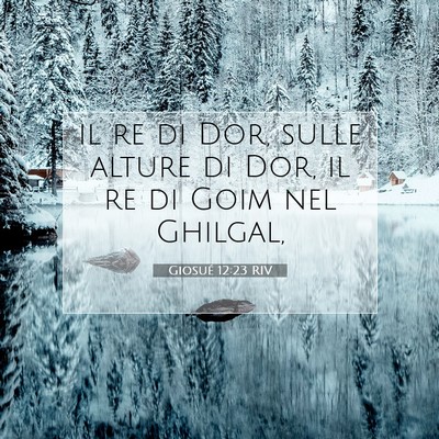 Picture 07 - Giosué 12:23 RIV - il re di Dor, sulle alture di Dor, il re di Goim - Bible Verse Picture