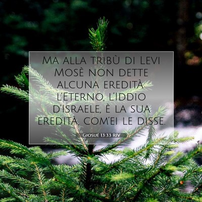 Picture 07 - Giosué 13:33 RIV - Ma alla tribù di Levi Mosè non dette alcuna - Bible Verse Picture