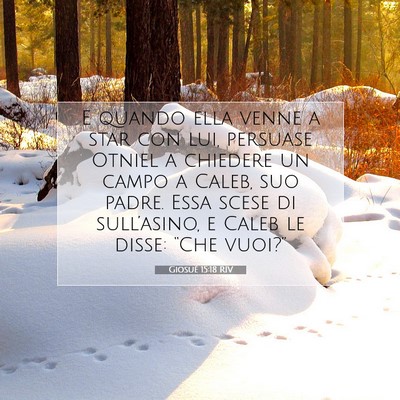 Picture 07 - Giosué 15:18 RIV - E quando ella venne a star con lui, persuase - Bible Verse Picture