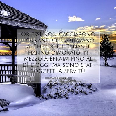 Picture 07 - Giosué 16:10 RIV - Or essi non cacciarono i Cananei che abitavano a - Bible Verse Picture