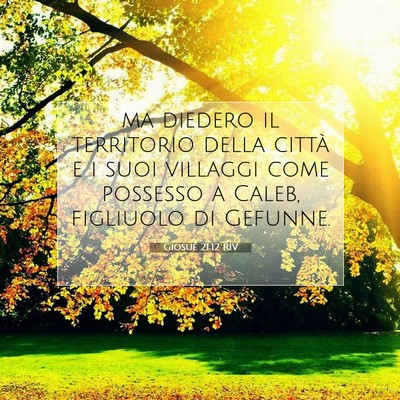 Picture 07 - Giosué 21:12 RIV - ma diedero il territorio della città e i suoi - Bible Verse Picture