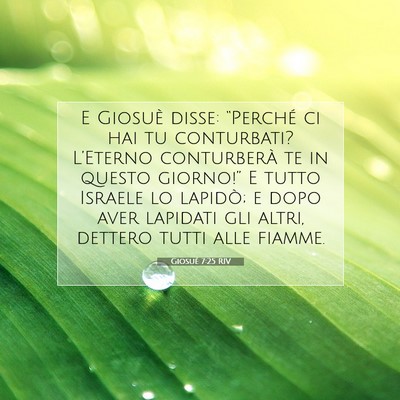 Picture 07 - Giosué 7:25 RIV - E Giosuè disse: “Perché ci hai tu conturbati? - Bible Verse Picture
