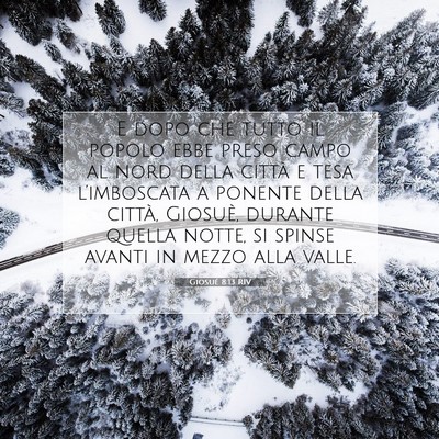Picture 07 - Giosué 8:13 RIV - E dopo che tutto il popolo ebbe preso campo al - Bible Verse Picture