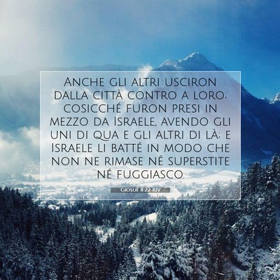 Picture 07 - Giosué 8:22 RIV - Anche gli altri usciron dalla città contro a - Bible Verse Picture