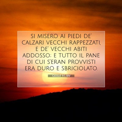 Picture 07 - Giosué 9:5 RIV - si misero ai piedi de’ calzari vecchi - Bible Verse Picture