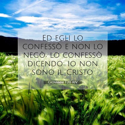 Picture 07 - Giovanni 1:20 RIV - Ed egli lo confessò e non lo negò; lo confessò - Bible Verse Picture
