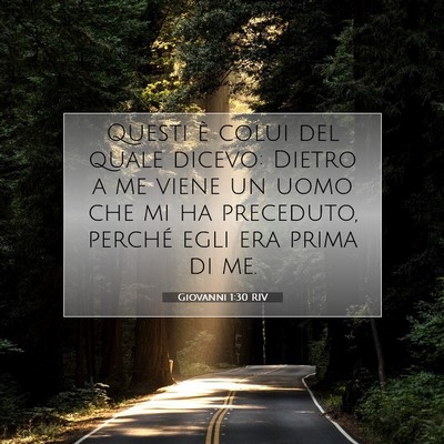 Picture 07 - Giovanni 1:30 RIV - Questi è colui del quale dicevo: Dietro a me - Bible Verse Picture