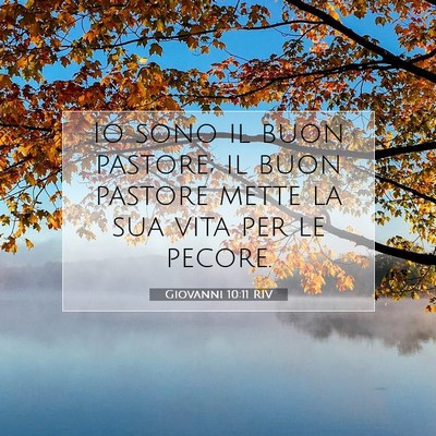 Picture 07 - Giovanni 10:11 RIV - Io sono il buon pastore; il buon pastore mette la - Bible Verse Picture