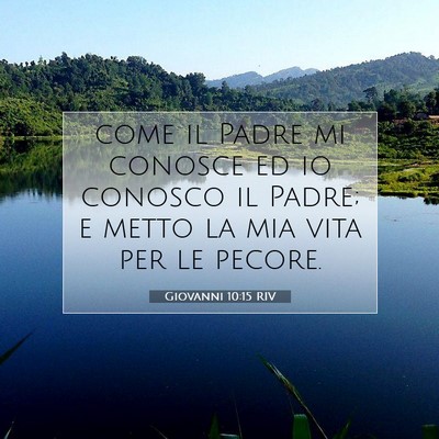 Picture 07 - Giovanni 10:15 RIV - come il Padre mi conosce ed io conosco il Padre; - Bible Verse Picture