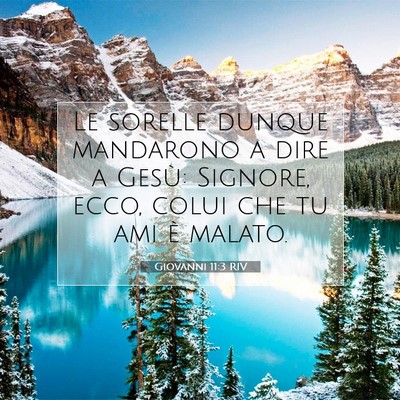 Picture 07 - Giovanni 11:3 RIV - Le sorelle dunque mandarono a dire a Gesù: - Bible Verse Picture