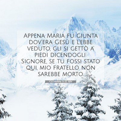 Picture 07 - Giovanni 11:32 RIV - Appena Maria fu giunta dov’era Gesù e l’ebbe - Bible Verse Picture