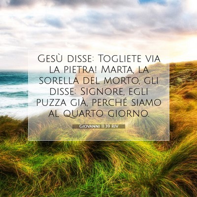 Picture 07 - Giovanni 11:39 RIV - Gesù disse: Togliete via la pietra! Marta, la - Bible Verse Picture