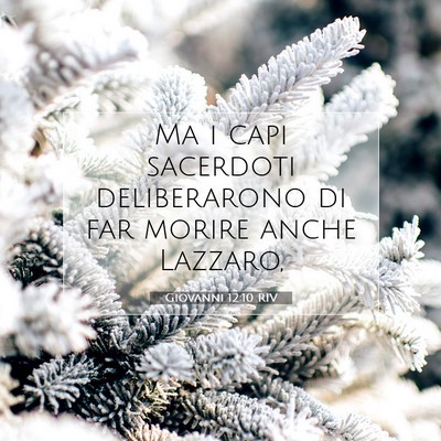Picture 07 - Giovanni 12:10 RIV - Ma i capi sacerdoti deliberarono di far morire - Bible Verse Picture