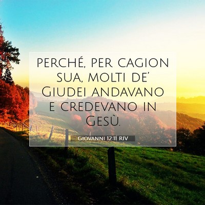 Picture 07 - Giovanni 12:11 RIV - perché, per cagion sua, molti de’ Giudei - Bible Verse Picture