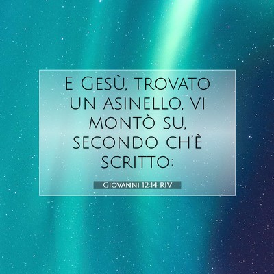 Picture 07 - Giovanni 12:14 RIV - E Gesù, trovato un asinello, vi montò su, - Bible Verse Picture