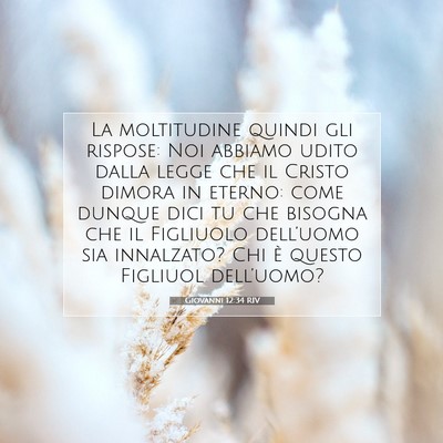 Picture 07 - Giovanni 12:34 RIV - La moltitudine quindi gli rispose: Noi abbiamo - Bible Verse Picture