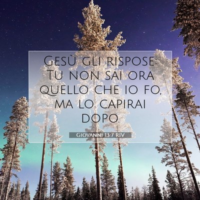 Picture 07 - Giovanni 13:7 RIV - Gesù gli rispose: Tu non sai ora quello che io - Bible Verse Picture