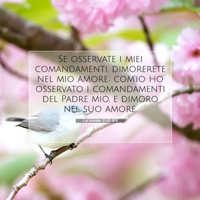 Picture 07 - Giovanni 15:10 RIV - Se osservate i miei comandamenti, dimorerete nel - Bible Verse Picture
