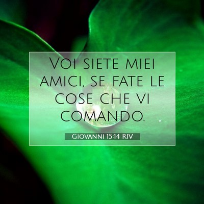 Picture 07 - Giovanni 15:14 RIV - Voi siete miei amici, se fate le cose che vi - Bible Verse Picture