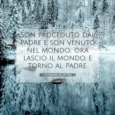 Picture 07 - Giovanni 16:28 RIV - Son proceduto dal Padre e son venuto nel mondo; - Bible Verse Picture