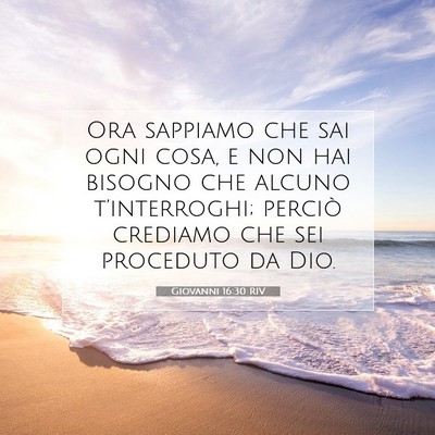 Picture 07 - Giovanni 16:30 RIV - Ora sappiamo che sai ogni cosa, e non hai bisogno - Bible Verse Picture