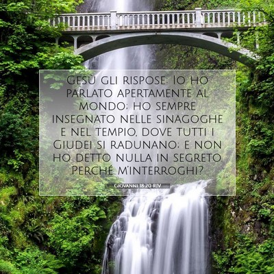 Picture 07 - Giovanni 18:20 RIV - Gesù gli rispose: Io ho parlato apertamente al - Bible Verse Picture