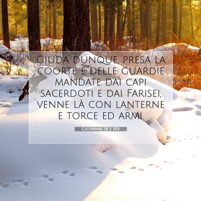 Picture 07 - Giovanni 18:3 RIV - Giuda dunque, presa la coorte e delle guardie - Bible Verse Picture