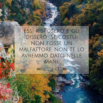 Picture 07 - Giovanni 18:30 RIV - Essi risposero e gli dissero: Se costui non fosse - Bible Verse Picture