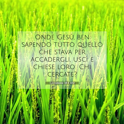 Picture 07 - Giovanni 18:4 RIV - Onde Gesù, ben sapendo tutto quello che stava - Bible Verse Picture