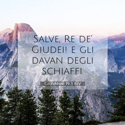 Picture 07 - Giovanni 19:3 RIV - Salve, Re de’ Giudei! e gli davan degli - Bible Verse Picture