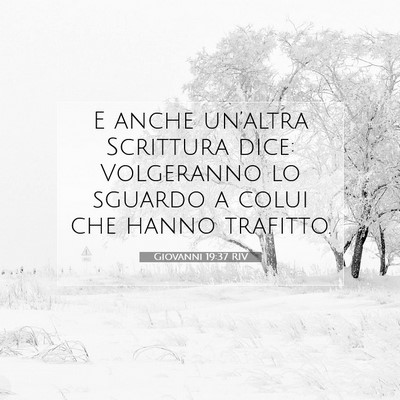 Picture 07 - Giovanni 19:37 RIV - E anche un’altra Scrittura dice: Volgeranno lo - Bible Verse Picture