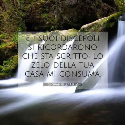 Picture 07 - Giovanni 2:17 RIV - E i suoi discepoli si ricordarono che sta - Bible Verse Picture